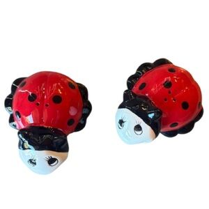 Ladybug NWOT Ceramic Salt & Pepper Set